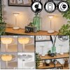 Baigorrita Lámpara de mesa de exterior, Lámparas de mesa LED Blanca, 1 luz