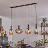 Alcofra Lámparas suspendidas Negro, 4 luces