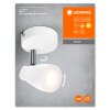 Lámparas Ledvance Spot Plafones LED Blanca, 1 luz