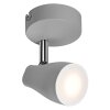 Lámparas Ledvance Spot Plafones LED Gris, 1 luz