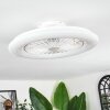 Benasal Plafones, lámpara ventilador de techo Blanca, 1 luz, Mando a distancia