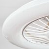 Benasal Plafones, lámpara ventilador de techo Blanca, 1 luz, Mando a distancia