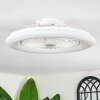 Benasal Plafones, lámpara ventilador de techo Blanca, 1 luz, Mando a distancia