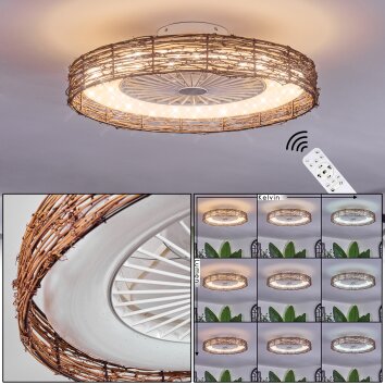 Benasal Plafones, lámpara ventilador de techo Crudo, Blanca, 1 luz, Mando a distancia