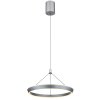 Lámparas Globo Lighting FERRA Lámparas suspendidas LED Gris, 1 luz