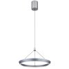 Lámparas Globo Lighting FERRA Lámparas suspendidas LED Gris, 1 luz