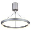 Lámparas Globo Lighting FERRA Lámparas suspendidas LED Gris, 1 luz