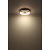 Lámparas Globo Lighting Gatian lámpara ventilador de techo LED marrón oscuro, Blanca, 1 luz, Mando a distancia