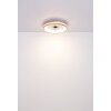 Lámparas Globo Lighting Gatian lámpara ventilador de techo LED marrón oscuro, Blanca, 1 luz, Mando a distancia