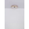 Lámparas Globo Lighting Gatian lámpara ventilador de techo LED marrón oscuro, Blanca, 1 luz, Mando a distancia