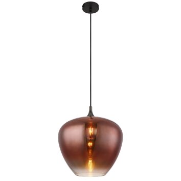 Lámparas Globo Lighting Maxy Lámparas suspendidas Cromo, Negro, 1 luz