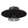 Lámparas Globo Lighting Carter Plafones LED Negro, 1 luz