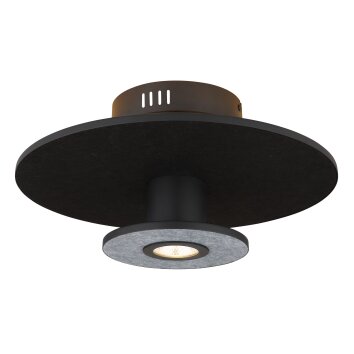 Lámparas Globo Lighting Carter Plafones LED Negro, 1 luz