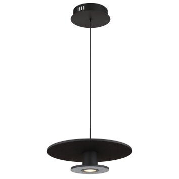 Lámparas Globo Lighting Carter Lámparas suspendidas LED Negro, 1 luz