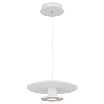 Lámparas Globo Lighting Carter Lámparas suspendidas LED Blanca, 1 luz