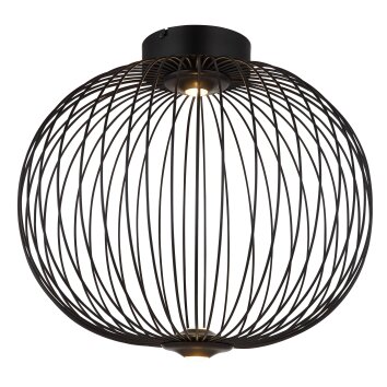 Lámparas Globo Lighting Galway Plafones LED Negro, 1 luz