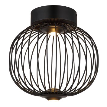 Lámparas Globo Lighting Galway Plafones LED Negro, 1 luz