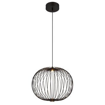 Lámparas Globo Lighting Galway Lámparas suspendidas LED Negro, 1 luz