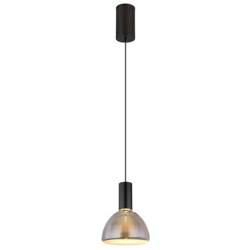 Lámparas Globo Lighting Labora Lámparas suspendidas LED Negro, 1 luz