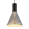 Lámparas Globo Lighting Labora Lámparas suspendidas LED Negro, 1 luz