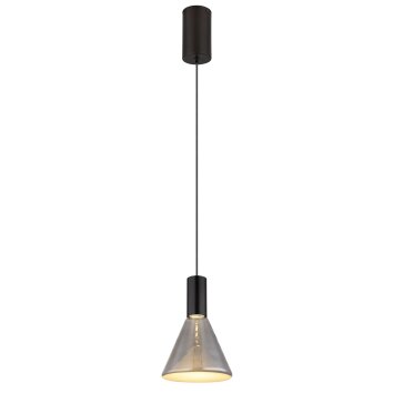 Lámparas Globo Lighting Labora Lámparas suspendidas LED Negro, 1 luz