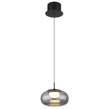 Lámparas Globo Lighting Quintara Lámparas suspendidas LED Negro, 1 luz