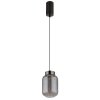 Lámparas Globo Lighting Fluoro Lámparas suspendidas LED Negro, 1 luz