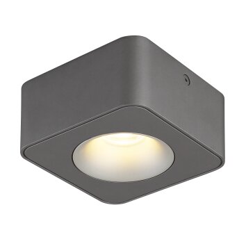 Lámparas Globo Lighting Hangarau Plafones LED Gris, 1 luz