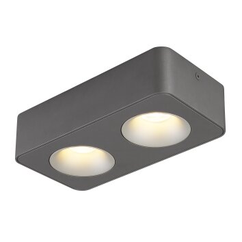 Lámparas Globo Lighting Hangarau Plafones LED Gris, 1 luz