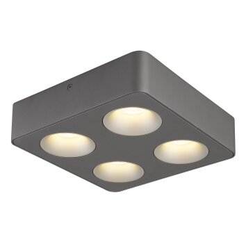 Lámparas Globo Lighting Hangarau Plafones LED Gris, 1 luz