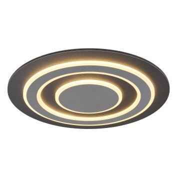 Lámparas Globo Lighting Jayden Plafones LED Antracita, 1 luz