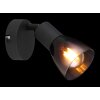 Lámparas Globo Lighting Satella Plafones, Spot techo, Apliques, Spot de pared Negro, 1 luz