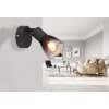 Lámparas Globo Lighting Satella Plafones, Spot techo, Apliques, Spot de pared Negro, 1 luz