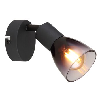 Lámparas Globo Lighting Satella Plafones, Spot techo, Apliques, Spot de pared Negro, 1 luz