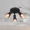 Lámparas Globo Lighting Satella Plafones, Spot techo, Apliques, Spot de pared Negro, 3 luces