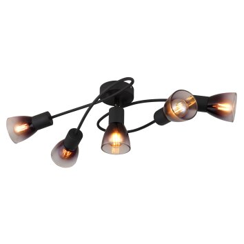 Lámparas Globo Lighting Satella Plafones Negro, 5 luces