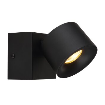 Lámparas Globo Lighting Rae Plafones LED Negro, 1 luz