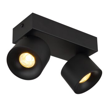 Lámparas Globo Lighting Rae Plafones LED Negro, 2 luces