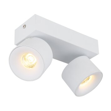 Lámparas Globo Lighting Rae Plafones LED Blanca, 2 luces