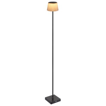 Lámparas Globo Lighting Gregoir Lámpara de pie LED Negro, 1 luz