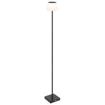 Lámparas Globo Lighting Gregoir Lámpara de pie LED Negro, 1 luz