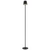 Lámparas Globo Lighting Vannie Lámpara de pie LED Negro, 1 luz