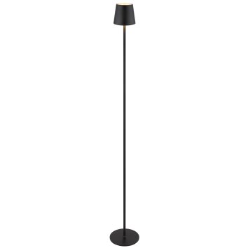 Lámparas Globo Lighting Vannie Lámpara de pie LED Negro, 1 luz