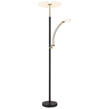 Lámparas Globo Lighting Tirana Plafones LED Bronce, Negro, 1 luz