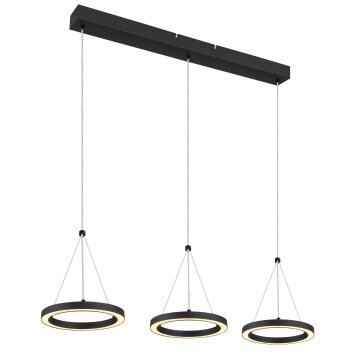 Lámparas Globo Lighting Grenvix Lámparas suspendidas LED Negro, 1 luz