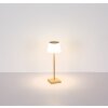 Lámparas Globo Lighting Gregoir Lámparas de mesa LED Madera oscura, Crudo, 1 luz