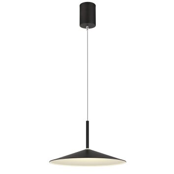 Lámparas Globo Lighting Lampone Lámparas suspendidas LED Negro, 1 luz