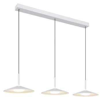 Lámparas Globo Lighting Lampone Lámparas suspendidas LED Blanca, 1 luz