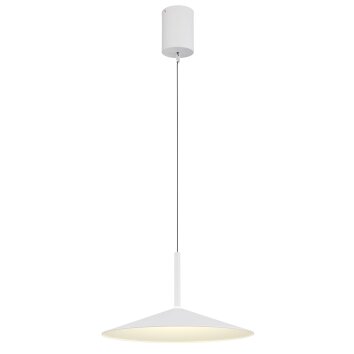 Lámparas Globo Lighting Lampone Lámparas suspendidas LED Blanca, 1 luz