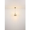 Lámparas Globo Lighting Firefly Lámparas suspendidas LED Negro, 1 luz